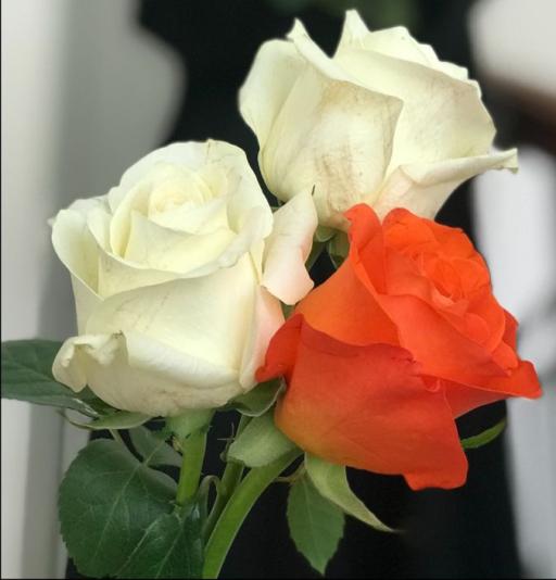 ورده⚘️من ذهب
