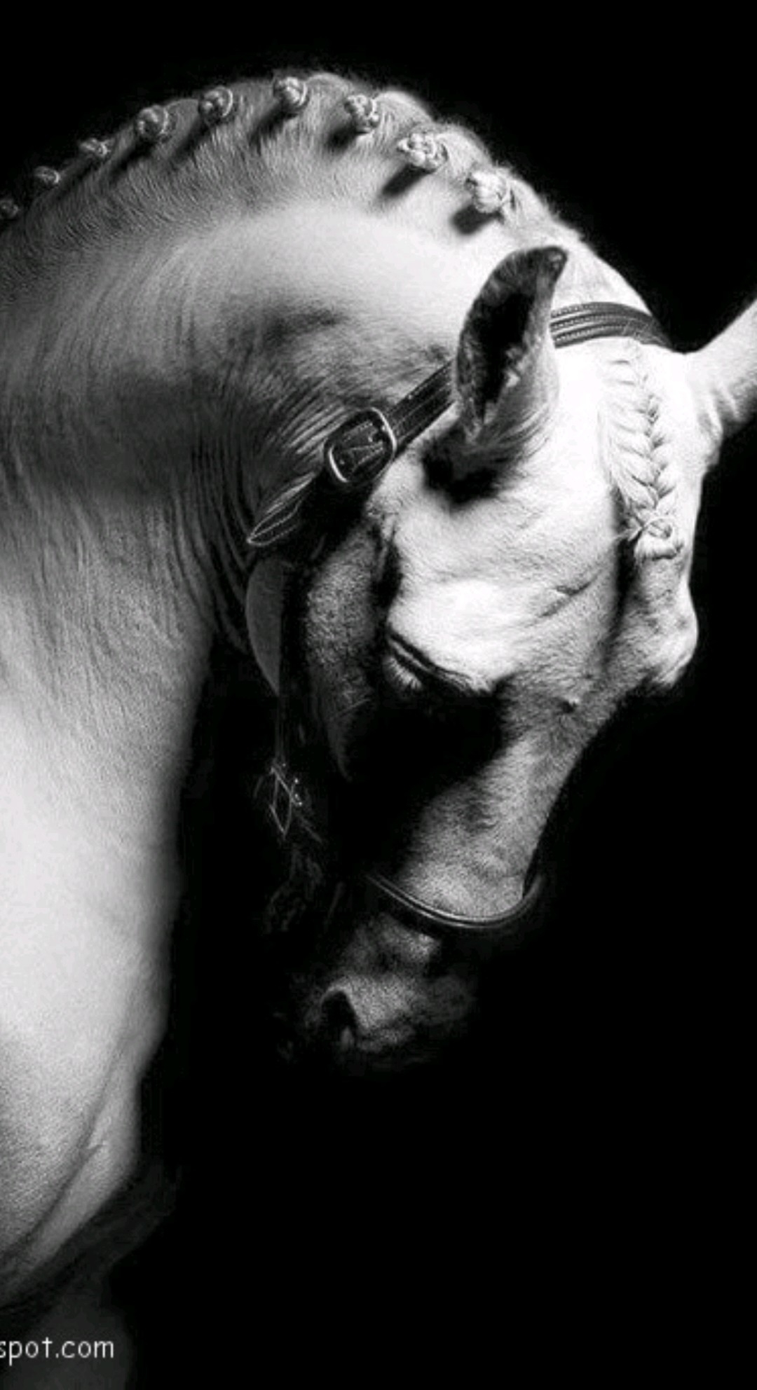 ام مشعل العطوي ♥️