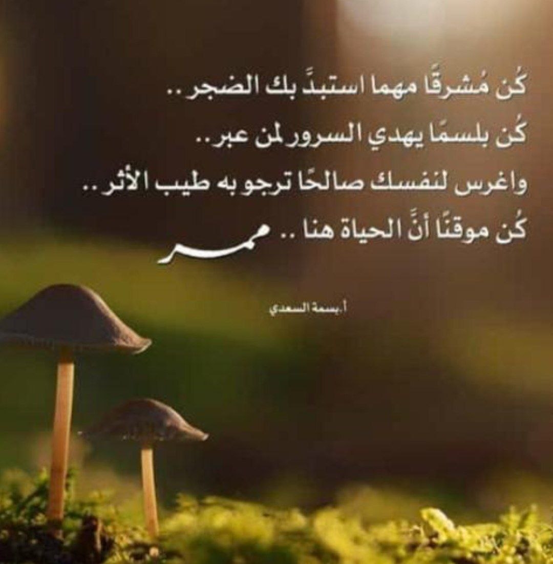 موكا 2018