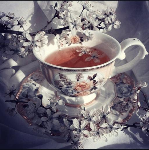 جميله عسيري