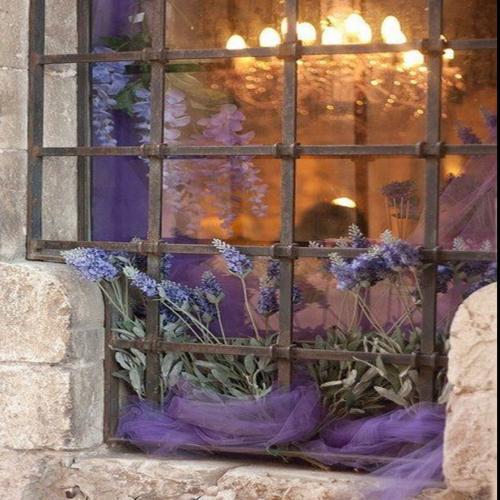 زهرة لاڤندر