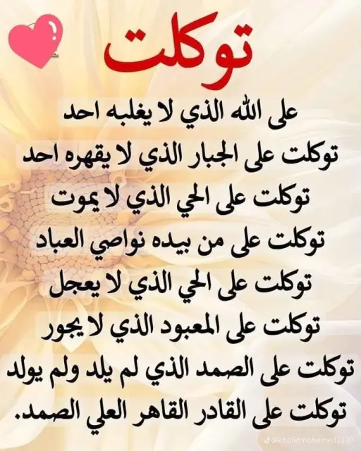 رورو العواضي
