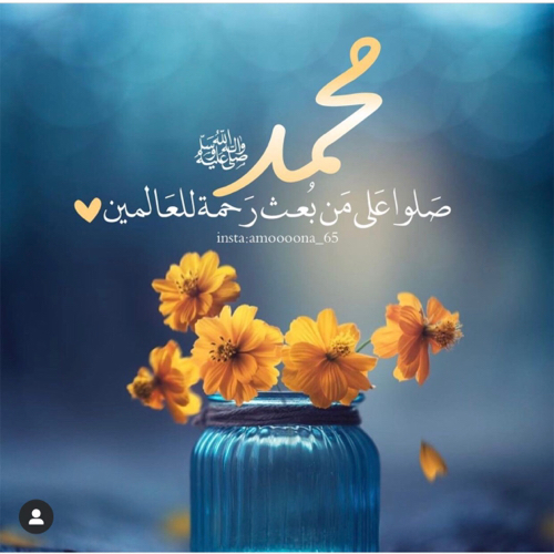 فيافي 2019