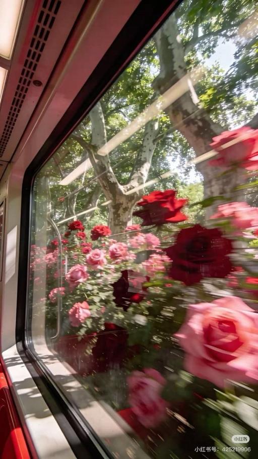 𝕆𝕦𝕞 𝔻𝕚𝕣𝕒𝕣