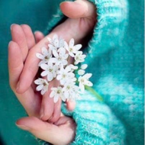 أفــراح