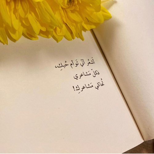 فطوم محمد 1