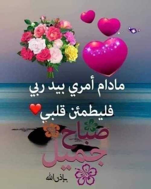 نقية النية