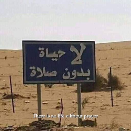👑 أم الأمير 👑