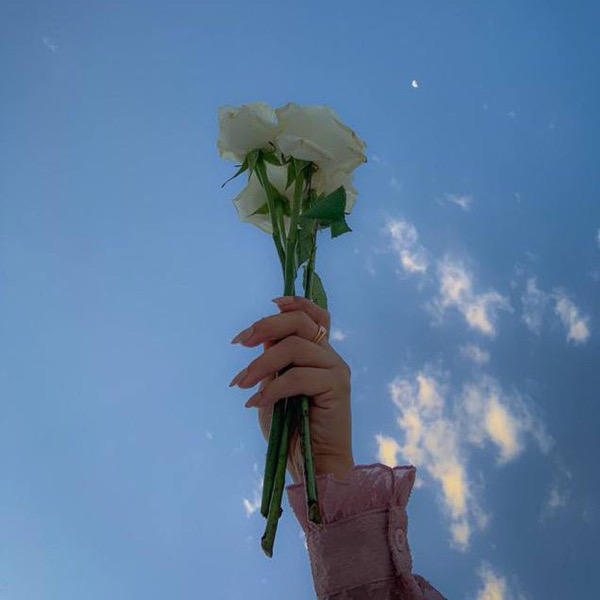 العنزيه 1