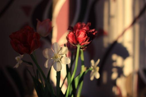 رِقة المِسك