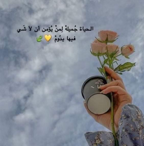 mnal