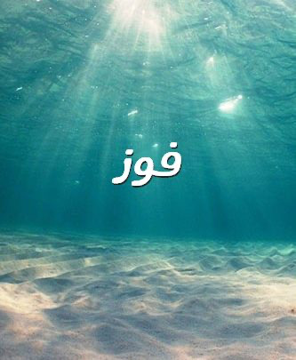فوز 20
