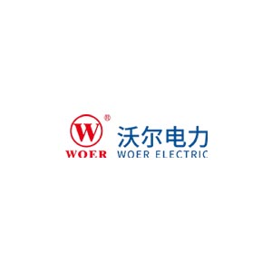 woerelectric