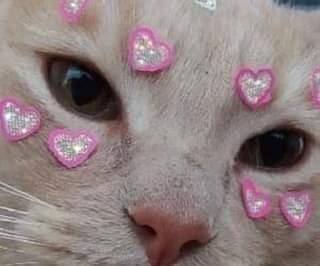 صبير