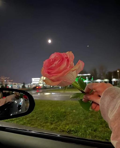 ورده⚘️من ذهب