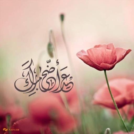 ناديه سعد خالد