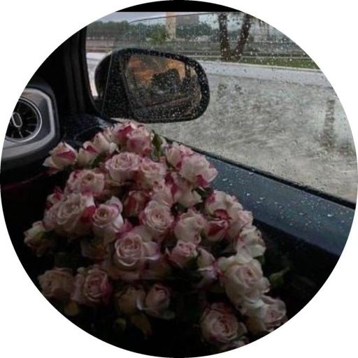 لولو_٩٦٥