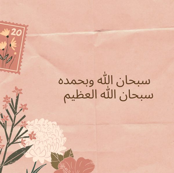 bshayer 2