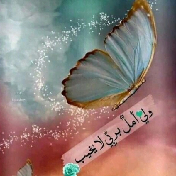 ام محمد
