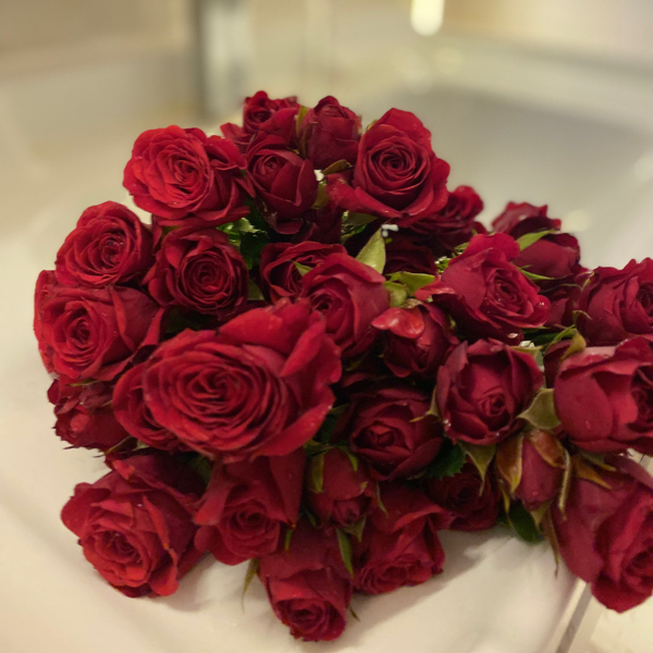 المها المقبل