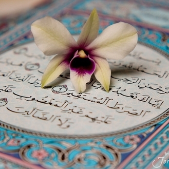 مولاي الشريف الحاج