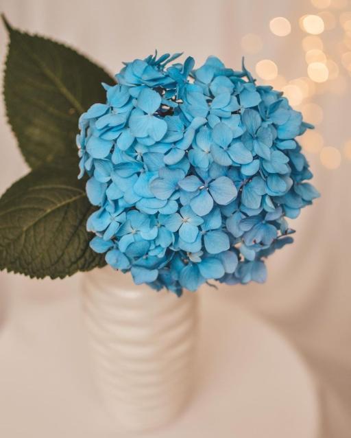 جدة غير 88